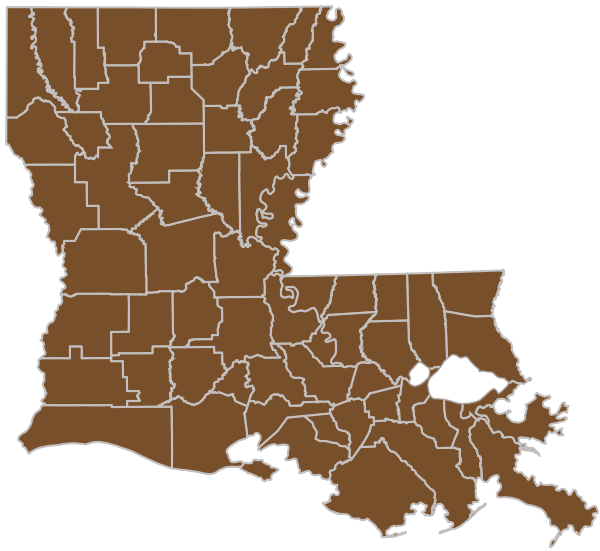 Louisiana state map with all parishes highlighted for Group plans