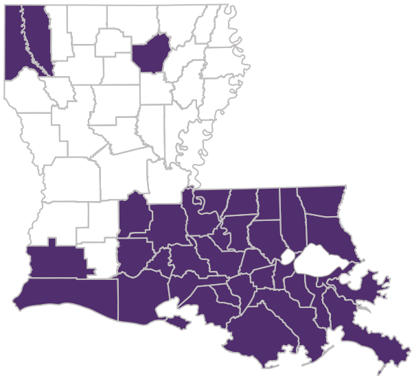 Image of the state of Louisiana with all of the applicable Secure Health parishes highlighted purple