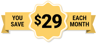 $29 give back banner