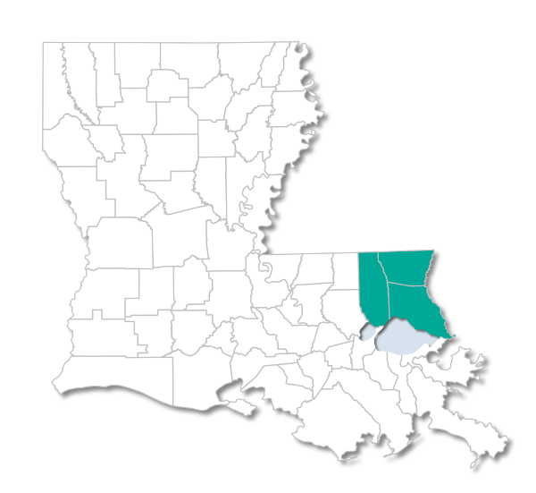 State map of Peoples Health Choices 65#14 for Louisiana Parishes
