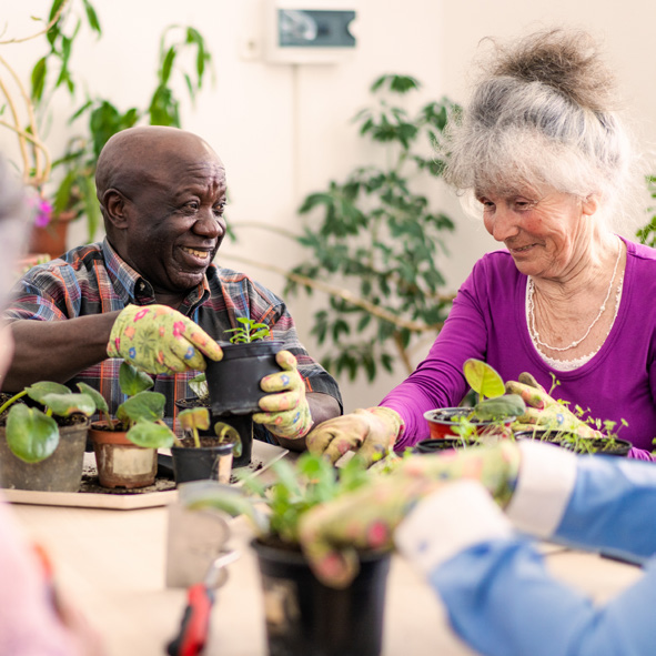 Two female seniors planting flowers in flower pots.